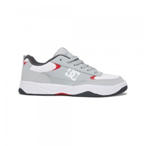 Zapatillas DC Shoes Penza Hombre Gris Blancas | ELDZ-46291