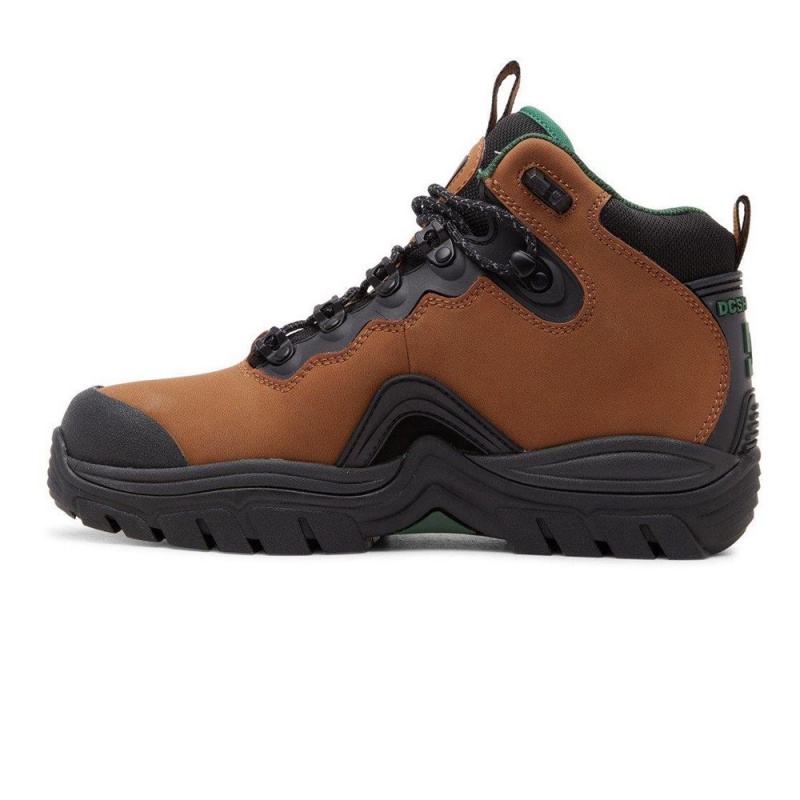 Botas DC Shoes Navigator Hombre Marrones Verde | VFZA-16748