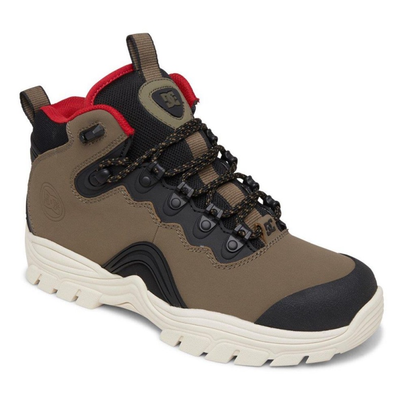 Botas DC Shoes Navigator Hombre Verde Negras | KPQL-52170