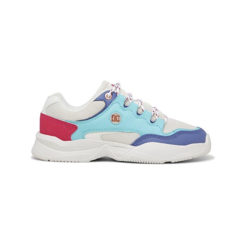 Zapatillas DC Shoes Decel Mujer Gris Azules | DRVE-40938