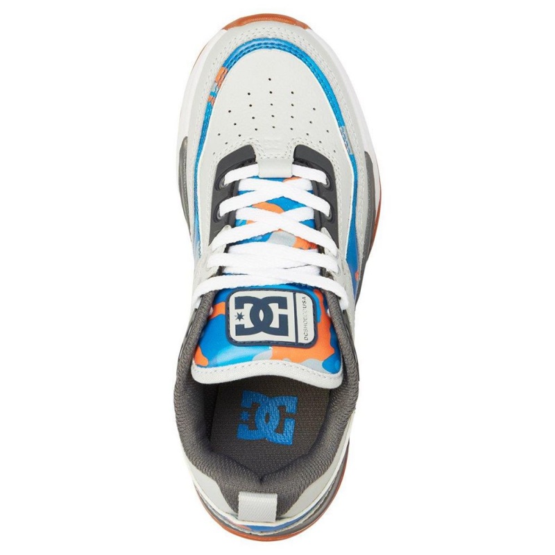 Zapatillas DC Shoes E.Tribeka Niños Gris Azules | TLJM-52738