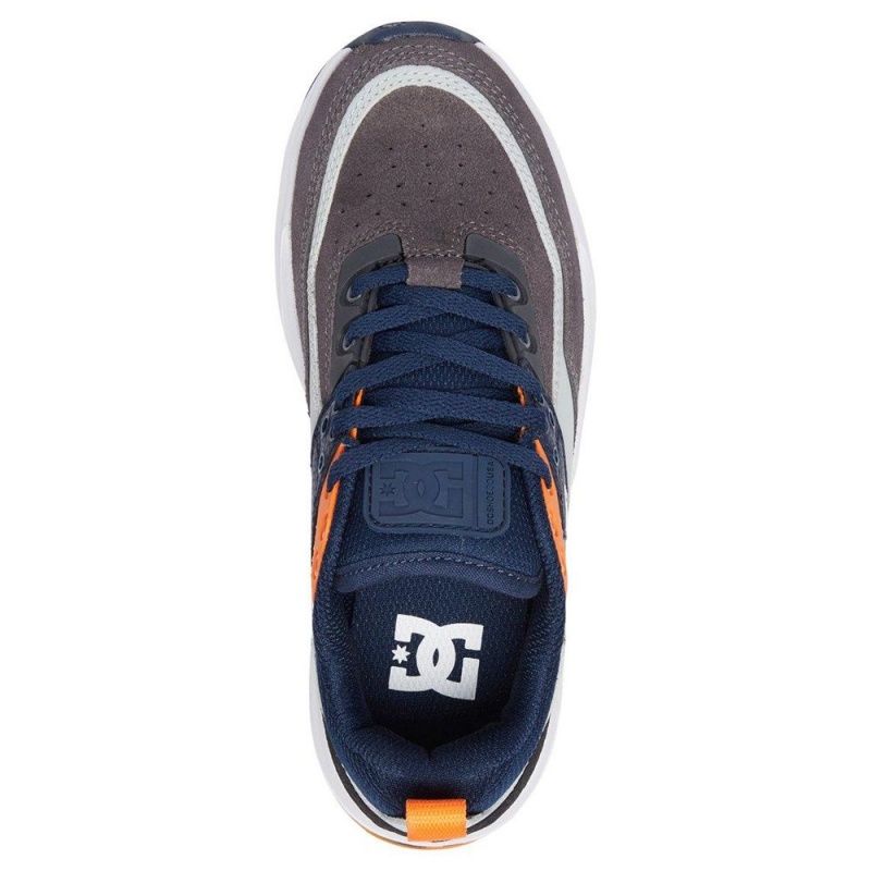 Zapatillas DC Shoes E.Tribeka Niños Gris Azul Marino | ZEGN-64871