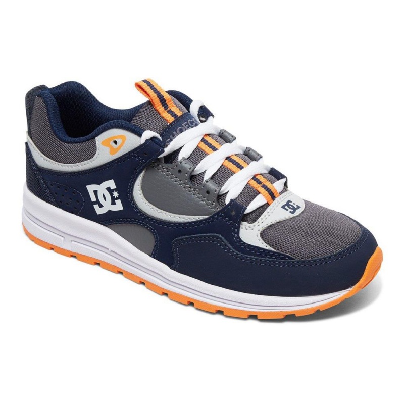 Zapatillas DC Shoes Kalis Niños Azul Marino Gris | HEMK-79634