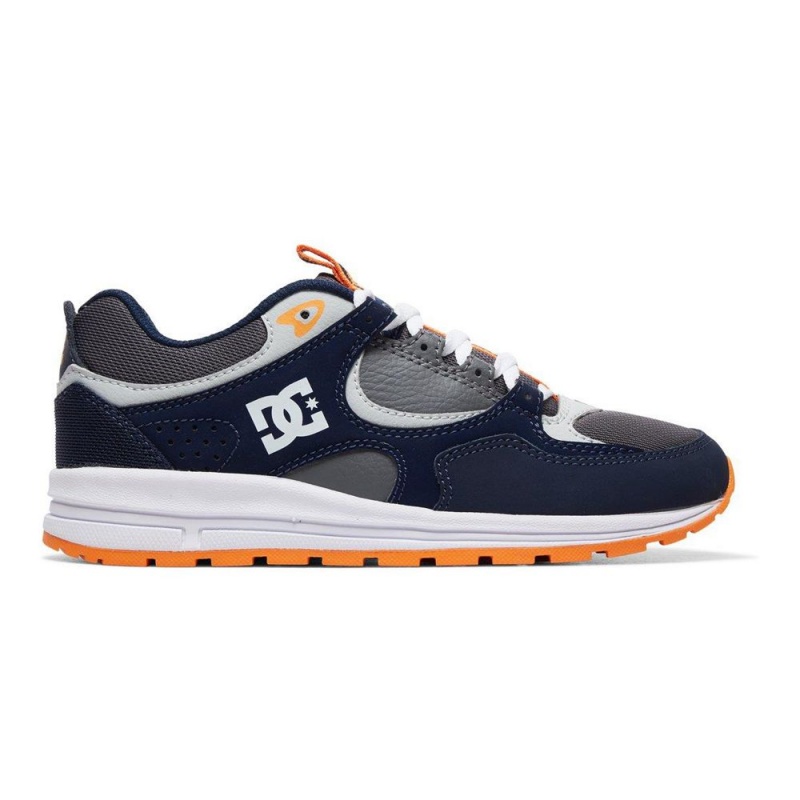 Zapatillas DC Shoes Kalis Niños Azul Marino Gris | HEMK-79634