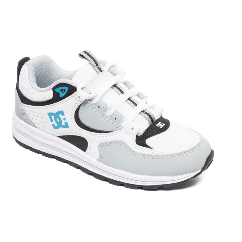 Zapatillas DC Shoes Kalis Niños Blancas Gris | BASN-90876