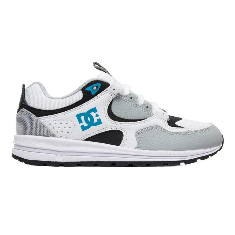 Zapatillas DC Shoes Kalis Niños Blancas Gris | BASN-90876