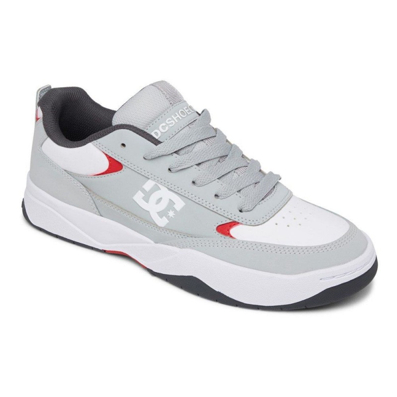 Zapatillas DC Shoes Penza Hombre Gris Blancas | ELDZ-46291