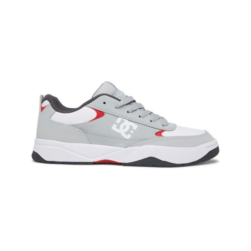 Zapatillas DC Shoes Penza Hombre Gris Blancas | ELDZ-46291