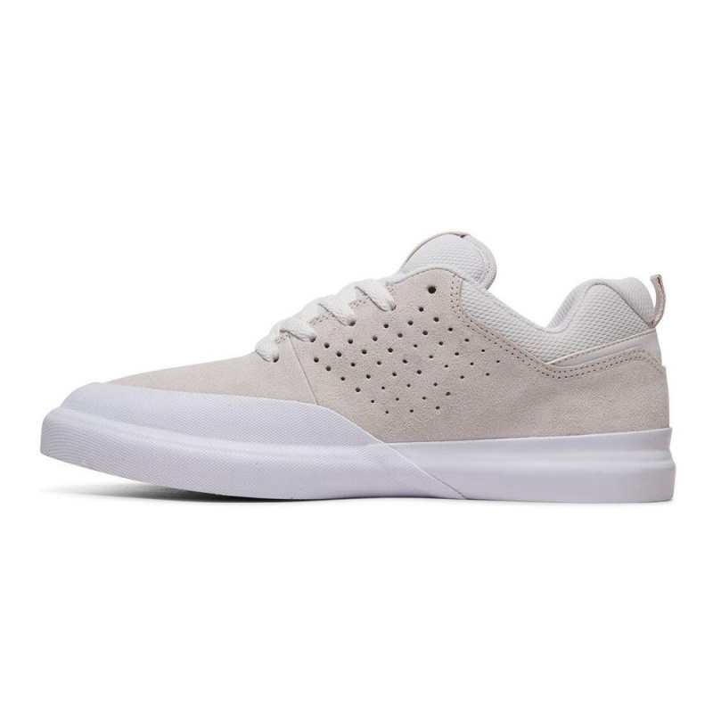 Zapatillas Skate DC Shoes Infinite Hombre Gris Blancas | ZWYR-63127