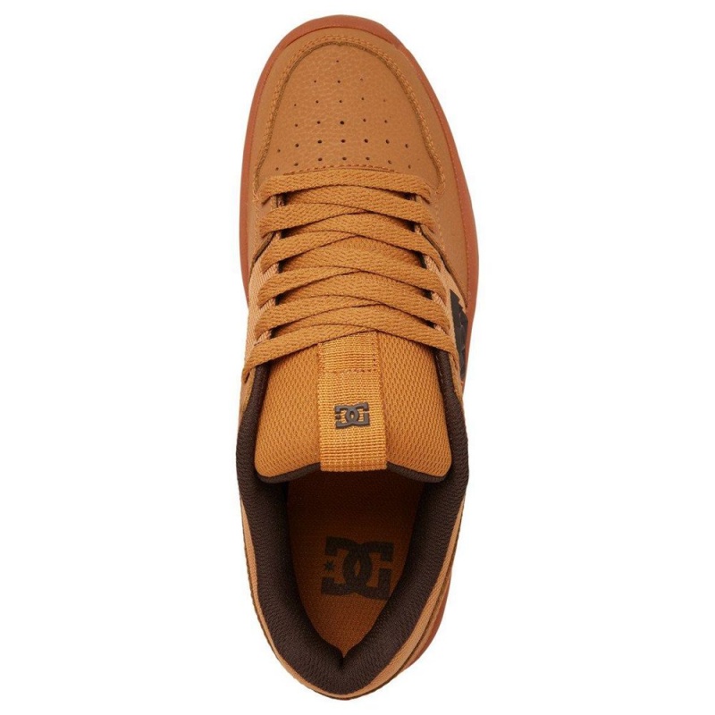 Zapatillas Skate DC Shoes Lynx Hombre Marrones | DCXY-10867