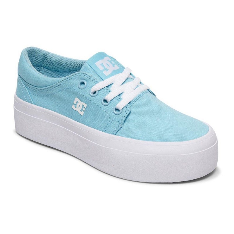 Zapatillas Skate DC Shoes Trase Niños Azules | DJFC-10873